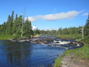 41072_10150258104530137_807680136_14613784_6126809_n