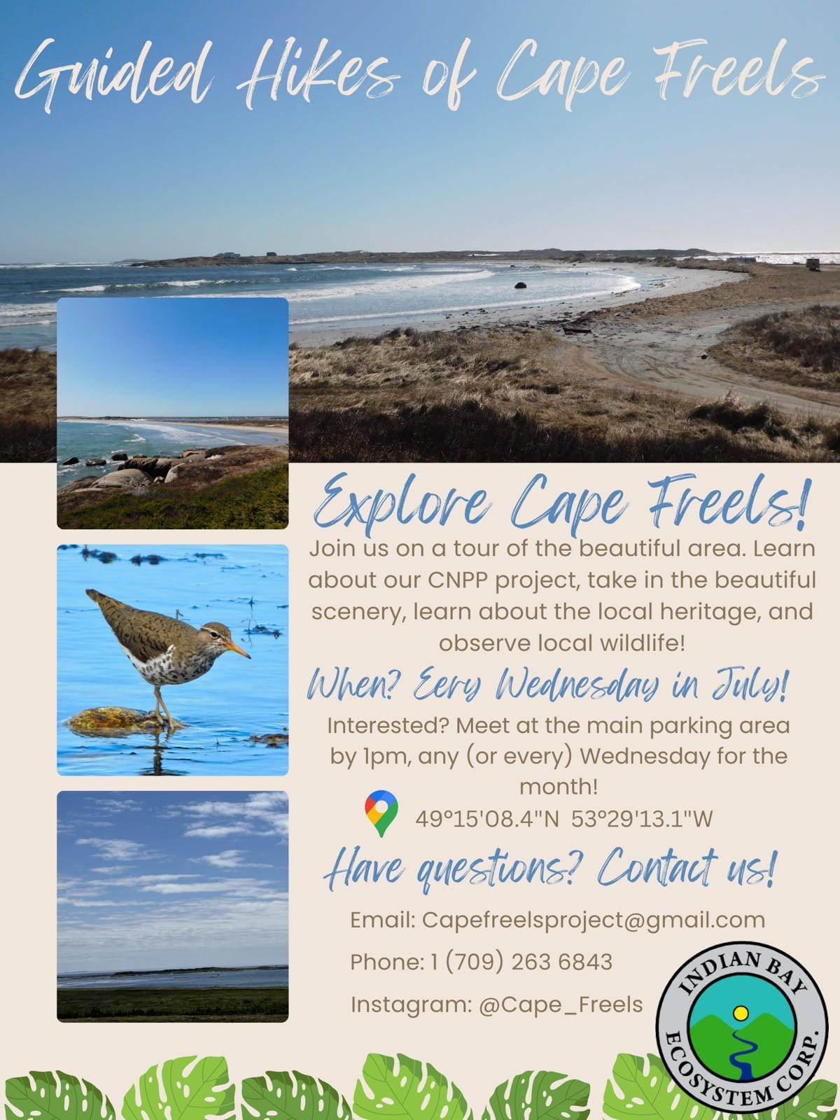 449000427_875769851252904_5761970657146430534_n